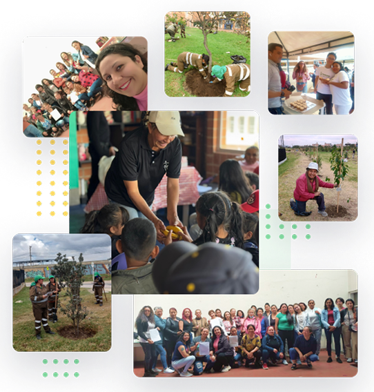 Tolerar y Convivir - quienes somos (1)